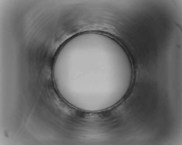 X0000103471505200809261852