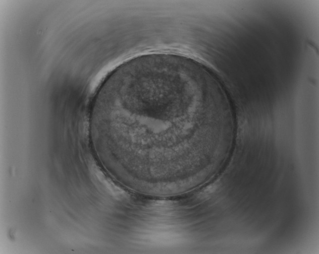 X0000103471506200809261852