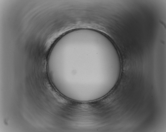 X0000103471507200809261852