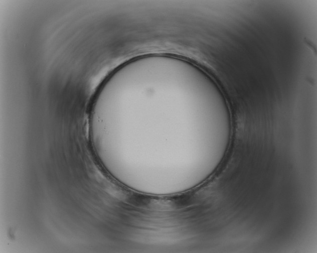 X0000103471509200809261852