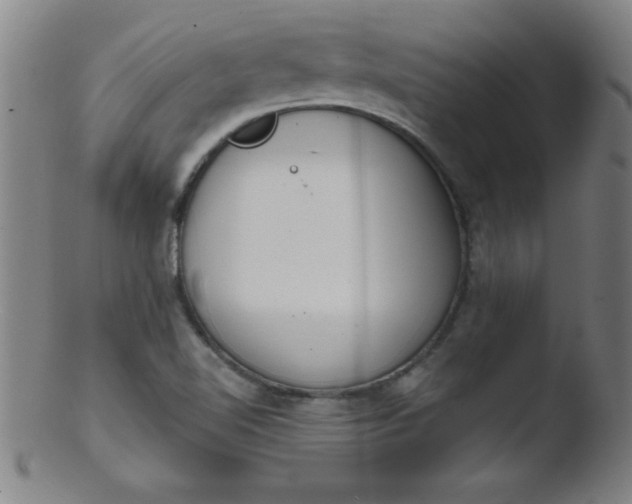 X0000103471510200809261852