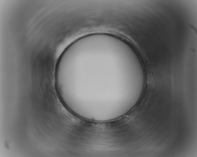 X0000103471512200809261852