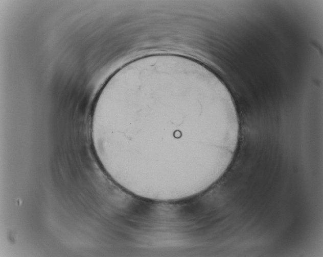 X0000103471514200809261852