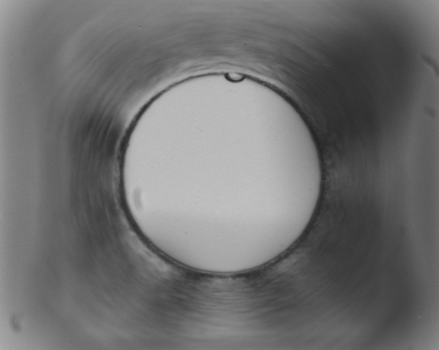 X0000103471518200809261852