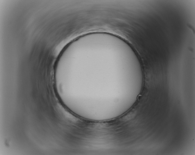 X0000103471519200809261852