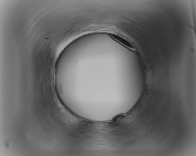 X0000103471520200809261852