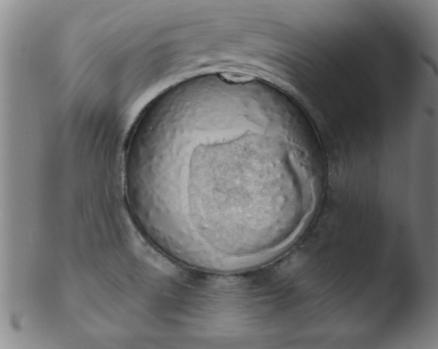 X0000103471522200809261852