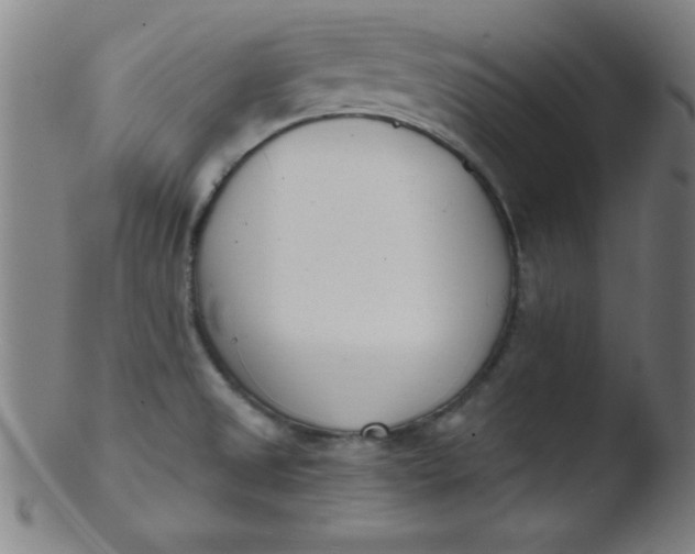 X0000103471525200809261852