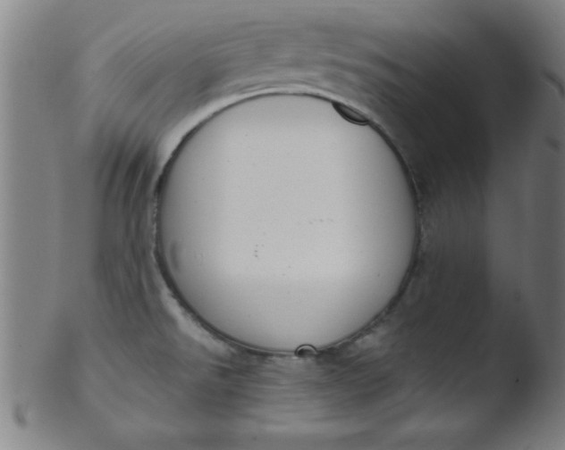 X0000103471526200809261852