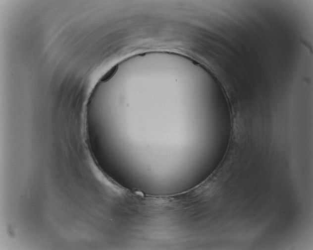 X0000103471528200809261852