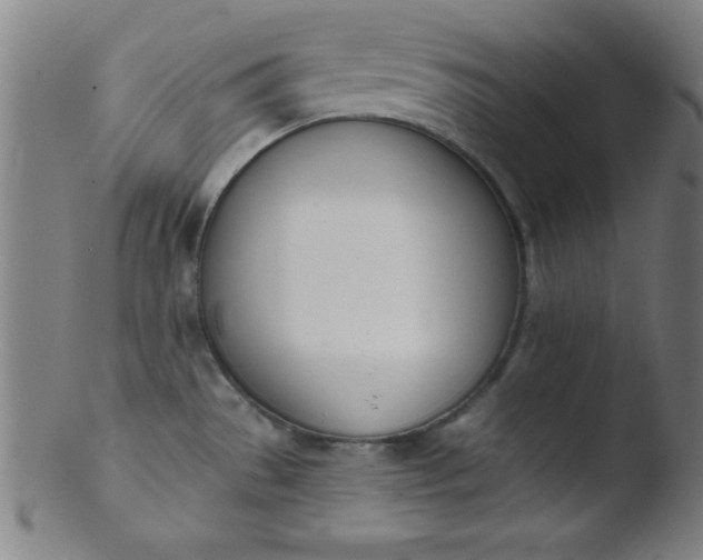 X0000103471529200809261852