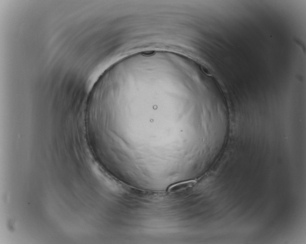 X0000103471530200809261852