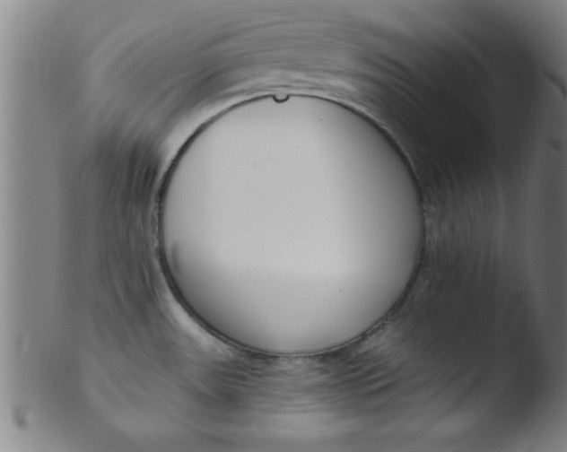 X0000103471531200809261852