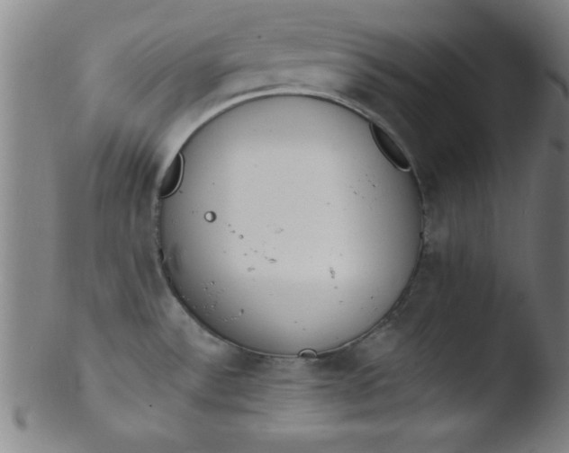 X0000103471532200809261852