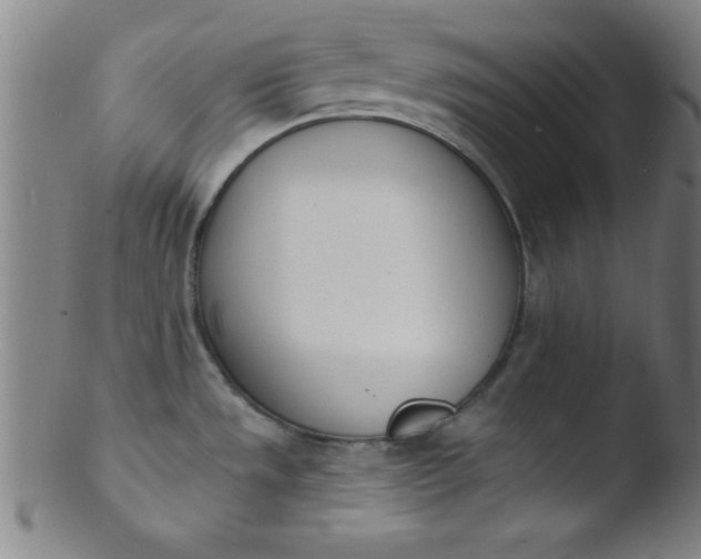 X0000103471533200809261852