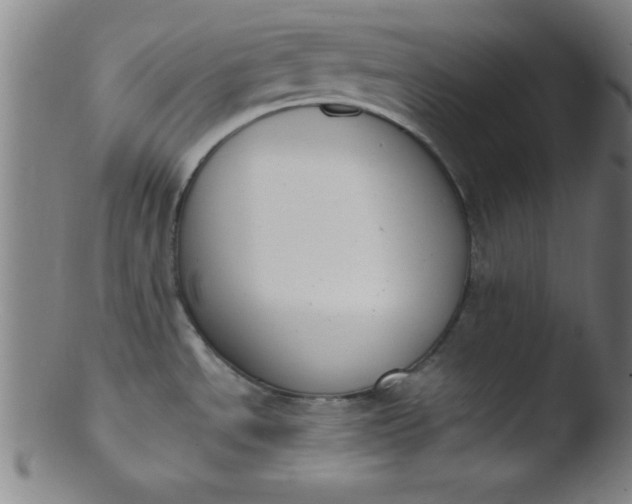 X0000103471534200809261852