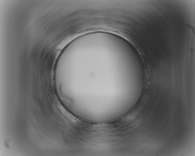 X0000103471535200809261852