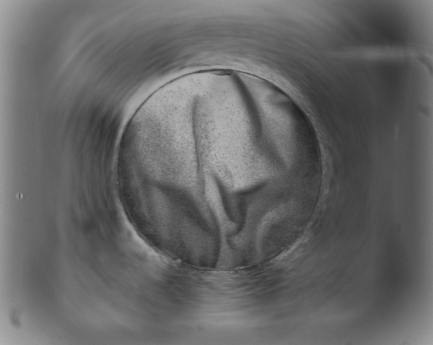 X0000103471536200809261852