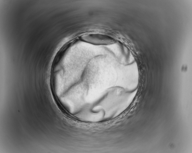 X0000103470003200810031530