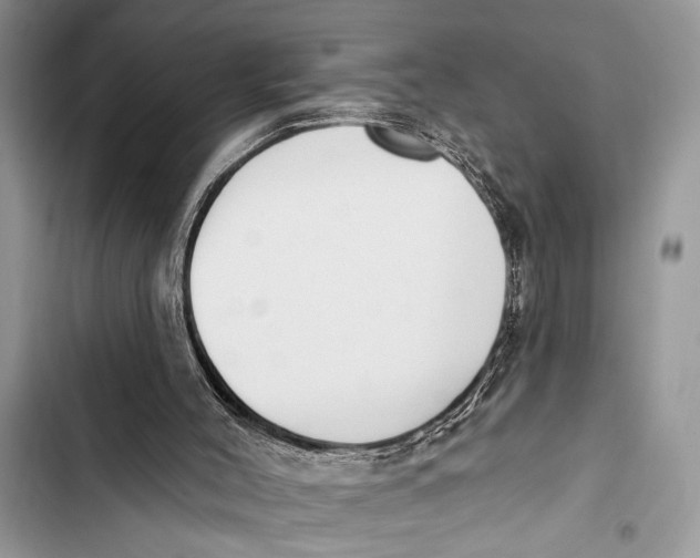 X0000103470004200810031530