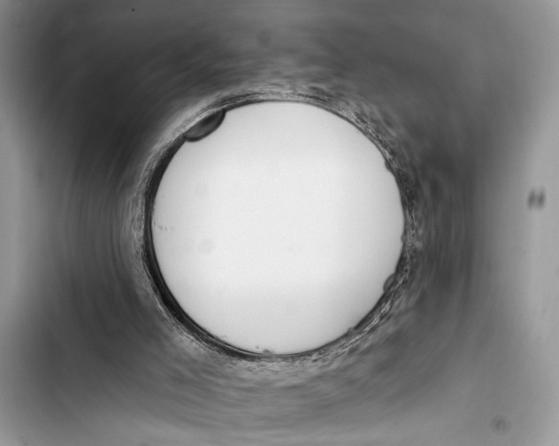 X0000103470005200810031530