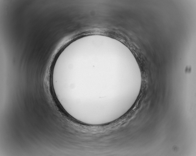 X0000103470006200810031530