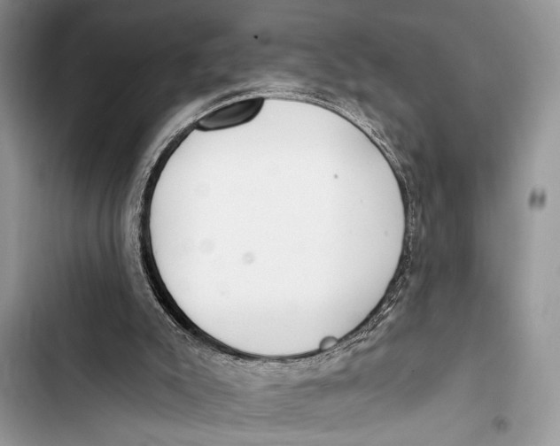 X0000103470007200810031530