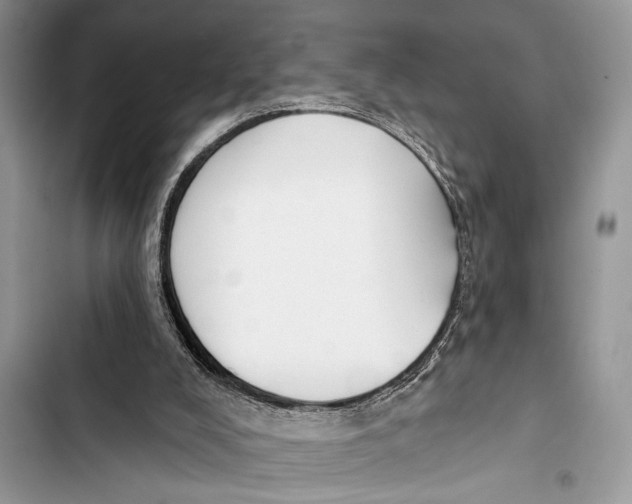 X0000103470008200810031530