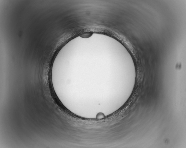 X0000103470010200810031530