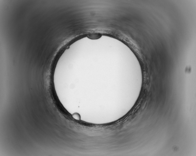 X0000103470012200810031530