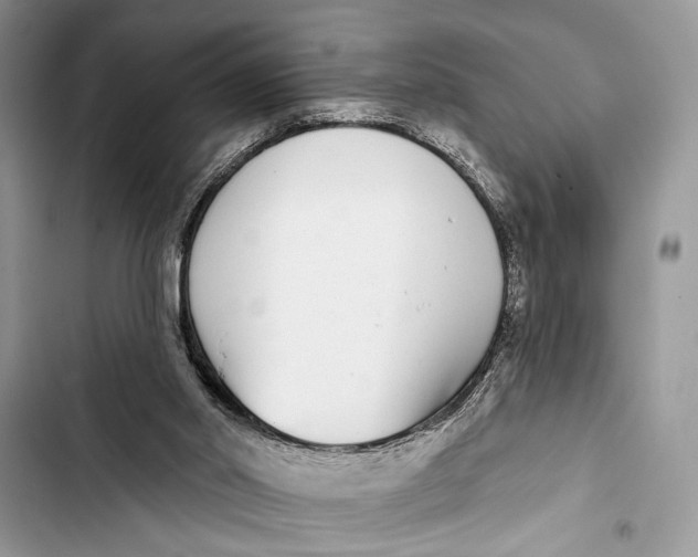 X0000103470014200810031530