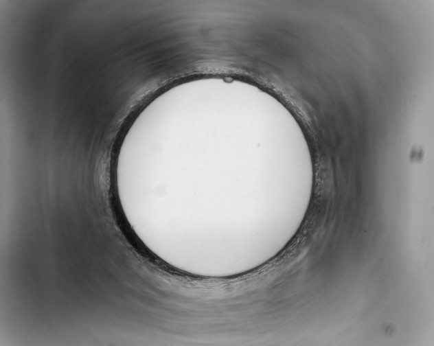 X0000103470015200810031530