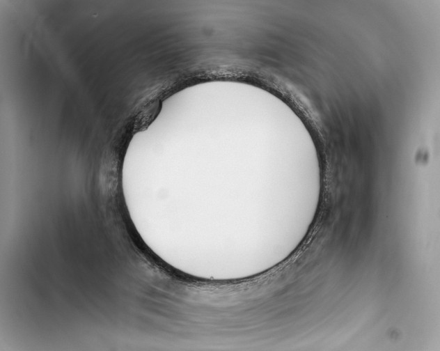 X0000103470017200810031530