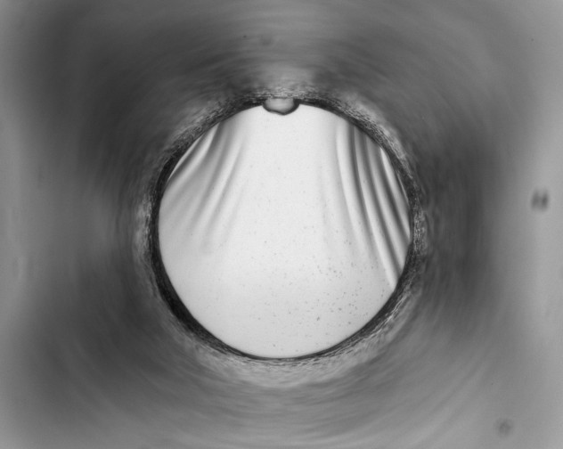 X0000103470018200810031530