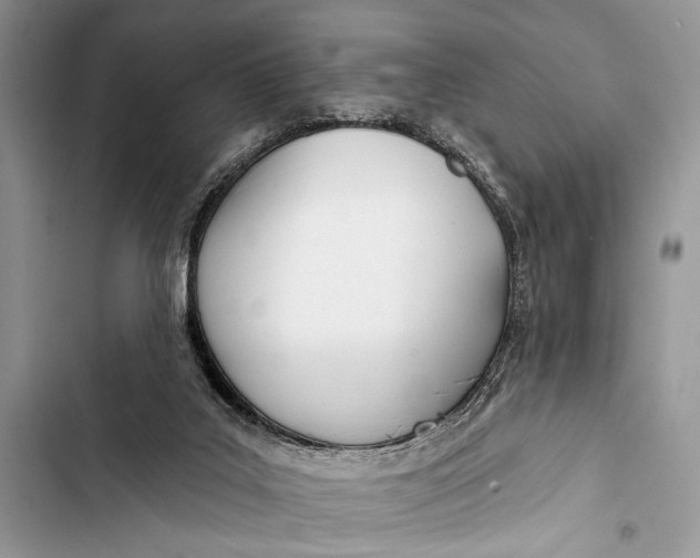 X0000103470019200810031530