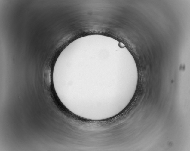 X0000103470020200810031530