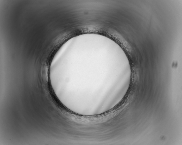 X0000103470022200810031530