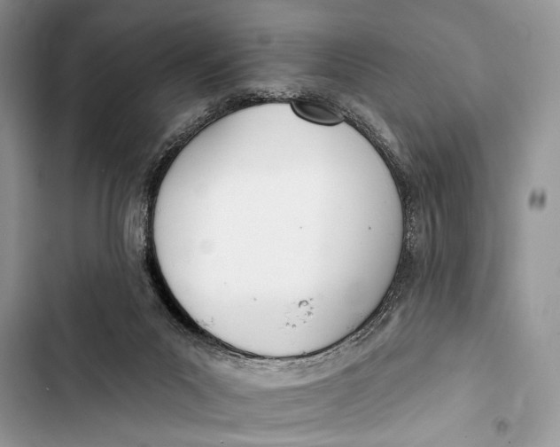 X0000103470023200810031530