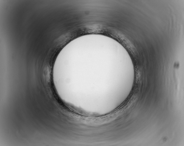 X0000103470026200810031530