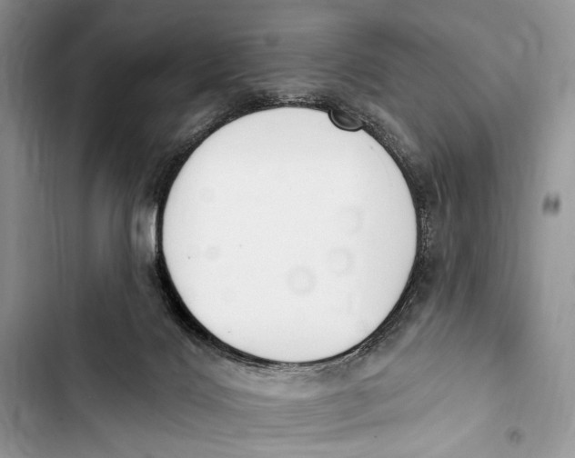 X0000103470028200810031530