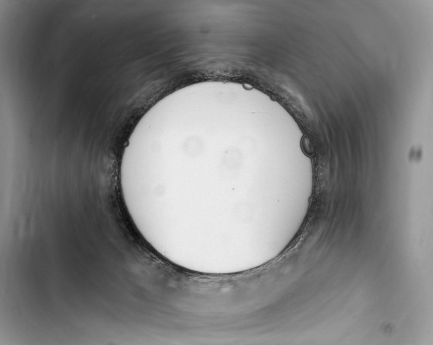 X0000103470029200810031530