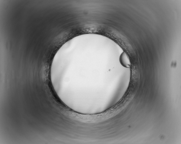 X0000103470030200810031530