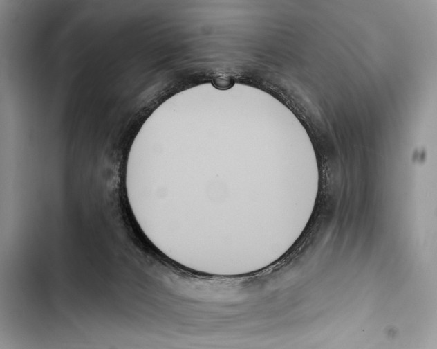 X0000103470032200810031530