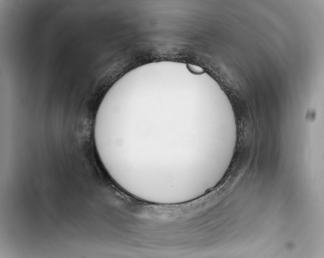 X0000103470033200810031530