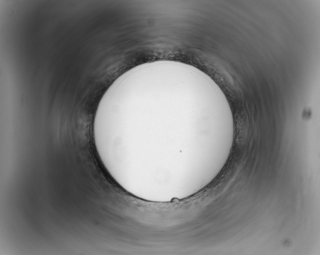 X0000103470034200810031530