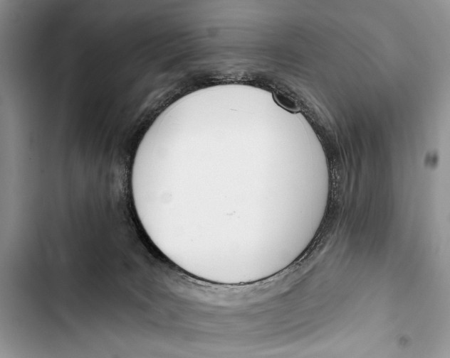 X0000103470035200810031530