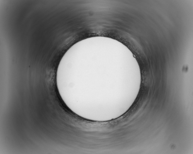 X0000103470036200810031530