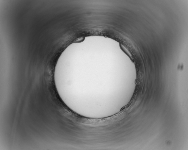 X0000103470037200810031530