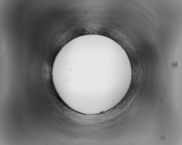 X0000103470038200810031530