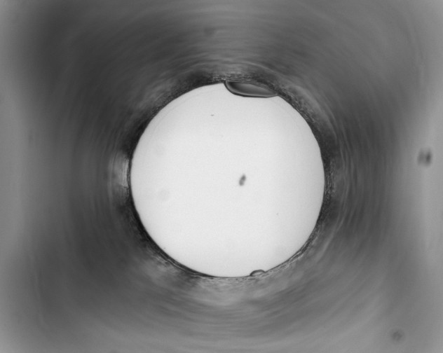 X0000103470041200810031530